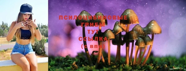 соль ск Навашино