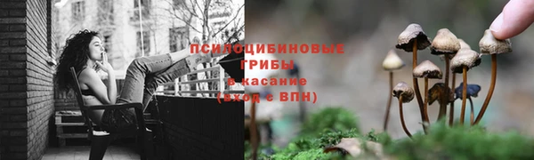 ALPHA PVP Надым