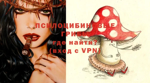 гашик Наволоки