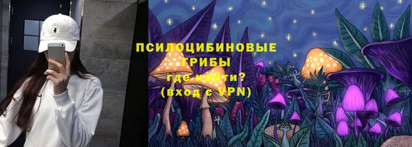 ALPHA PVP Надым