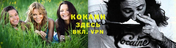 соль ск Навашино