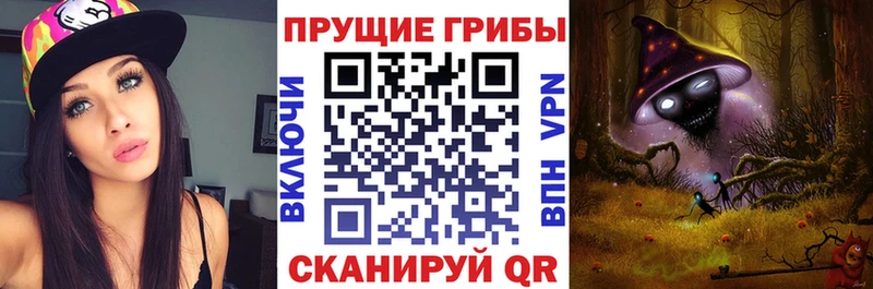где купить наркоту  Камбарка  Галлюциногенные грибы Cubensis 